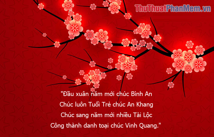 At the beginning of the new year, I wish you peace. Wish you always young and wish An Khang