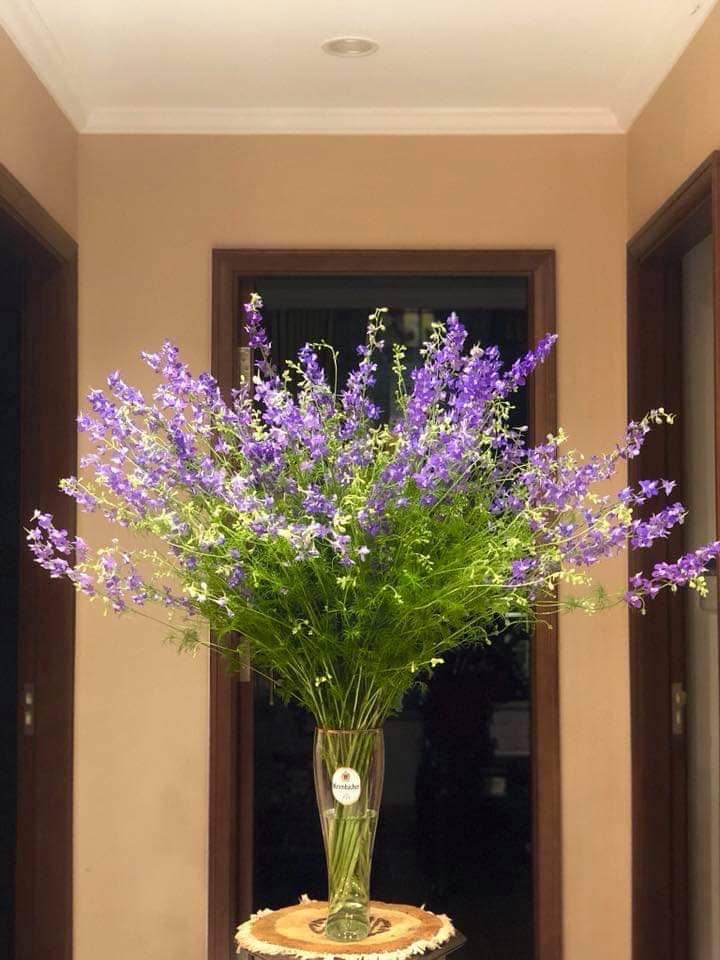 Mẫu cắm hoa Violet ngày Tết