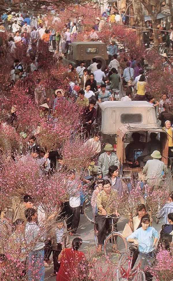 Hình ảnh chợ hoa ngày Tết ở Hà Nội những năm bao cấp