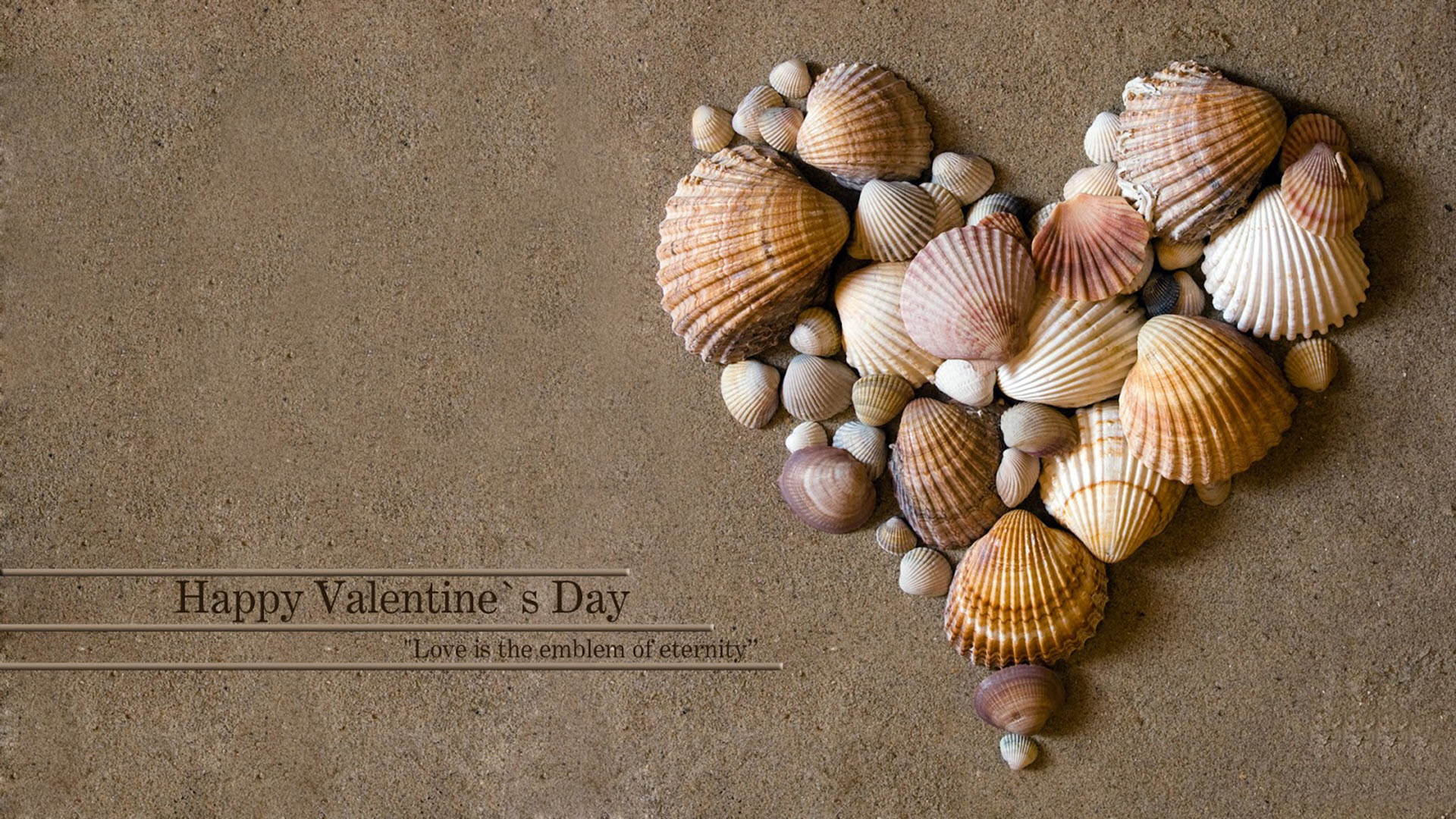 Hình nền Valentine với vỏ sò đẹp nhất